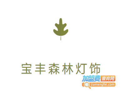 宝丰森林灯饰加盟费