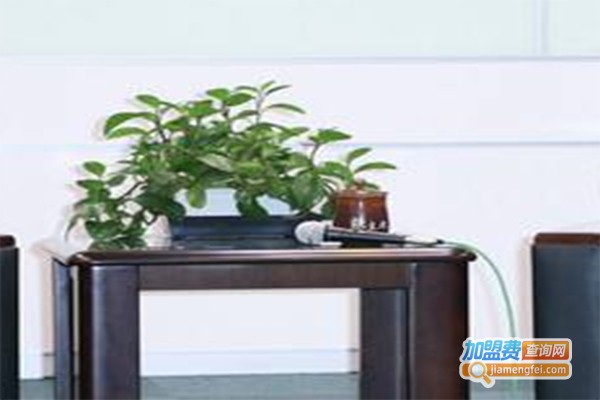 亘扬环保材料加盟费
