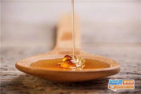 红人馆蜂蜜加盟费