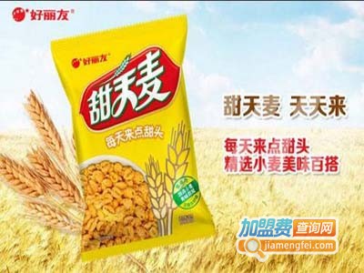 甜天麦加盟