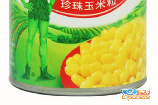 绿巨人休闲食品加盟费