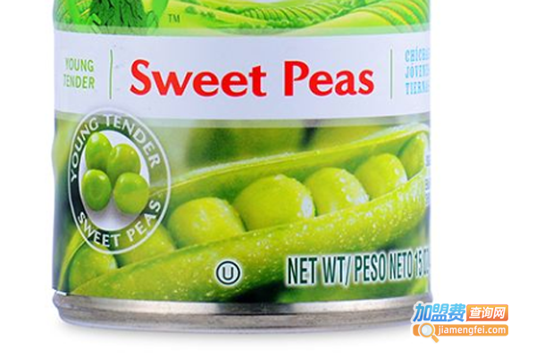 绿巨人休闲食品加盟费