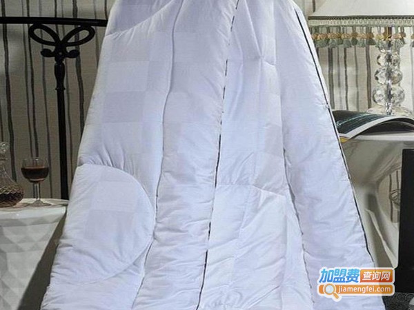 彩永加盟费