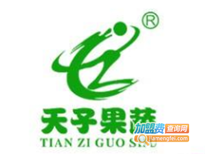 天子果蔬休闲食品加盟费