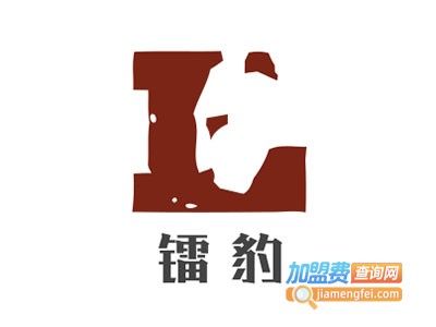 镭豹全自动电脑洗车机加盟电话
