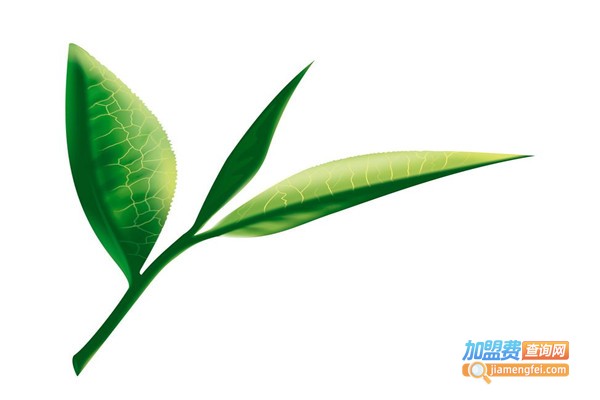 陈升号茶业加盟费