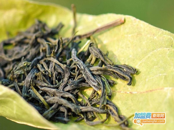 鄂尔泰普洱茶业加盟费