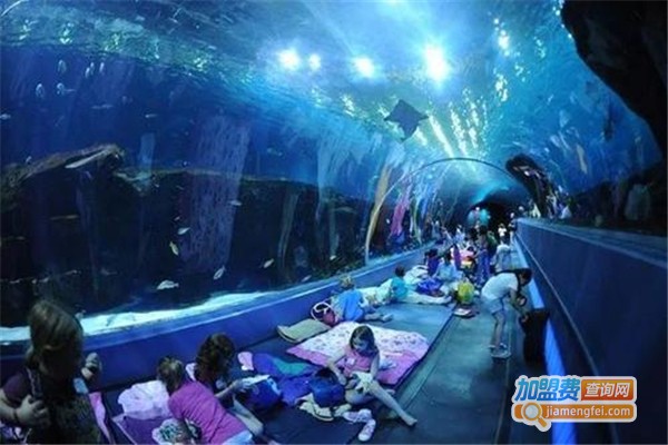 咏鸿水族鱼池过滤器加盟费