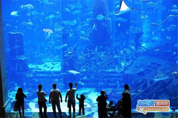 亮空水族加盟费