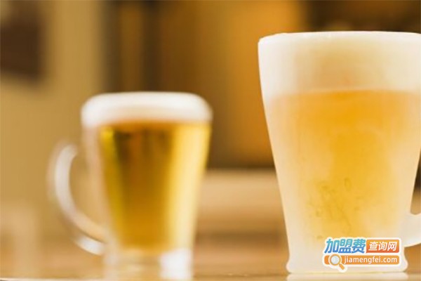 翼天浓啤酒设备加盟费