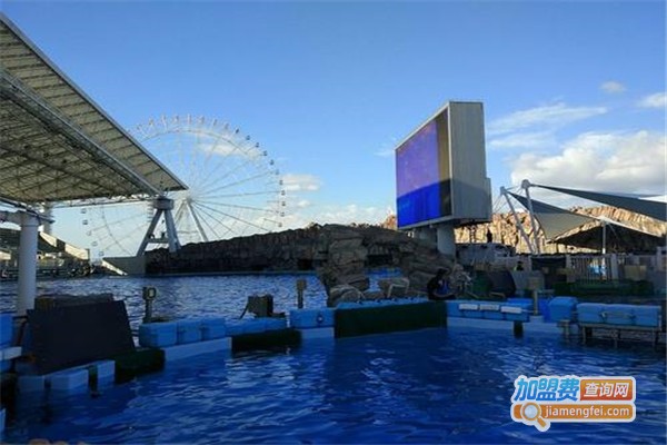 咏鸿水族鱼池过滤器加盟费