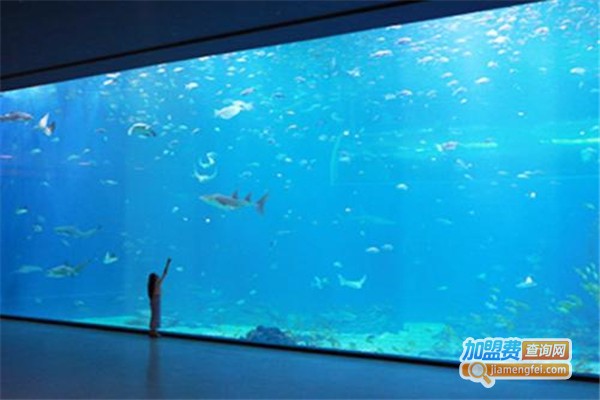 亮空水族加盟费