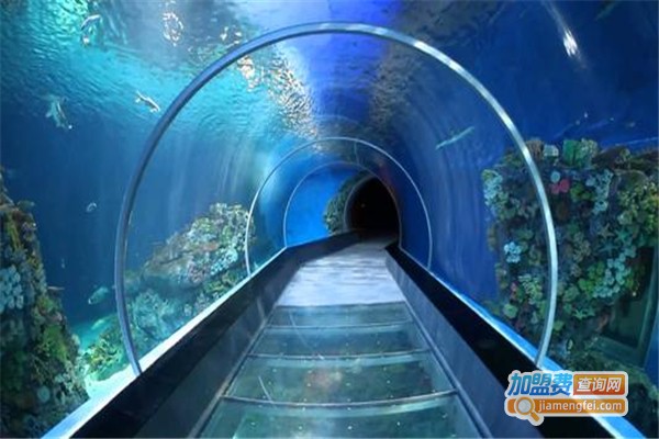 快鱼水族加盟费