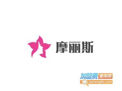摩丽斯内衣加盟费