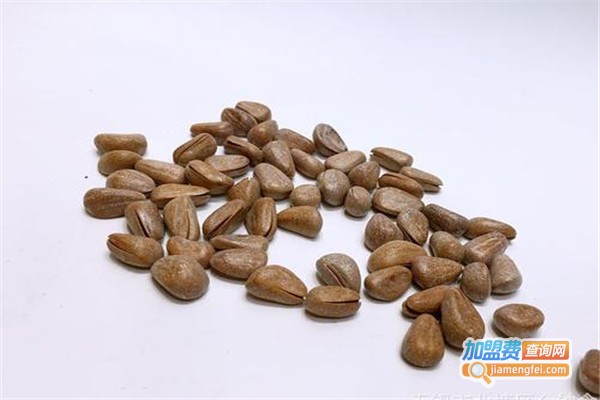 比比Q食品加盟