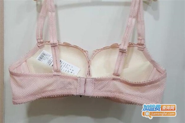 魔法体雕内衣加盟费