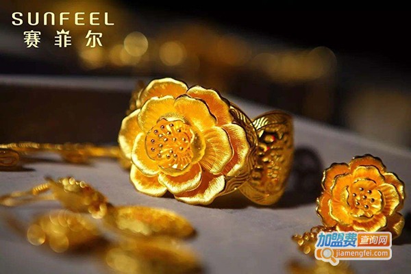 赛菲尔加盟费