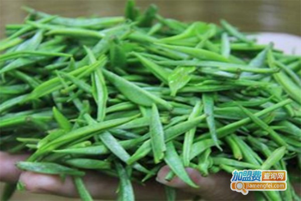 老而青润肺茶加盟费