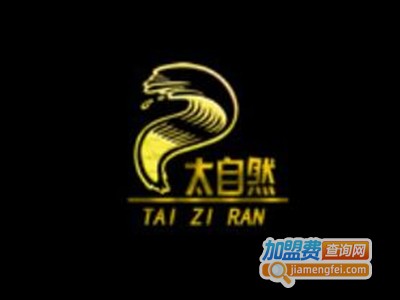 太自然油画装饰加盟费