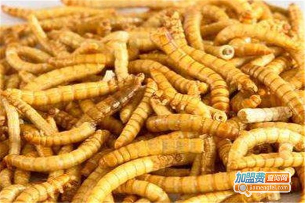 农科兴农黄粉虫