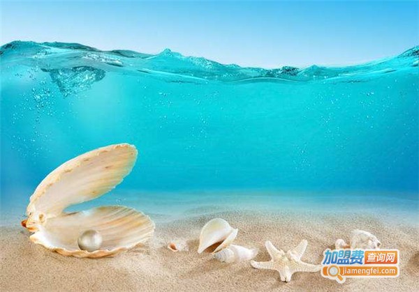 碧海金贝加盟费