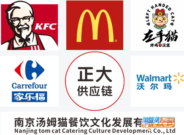 左手猫加盟费