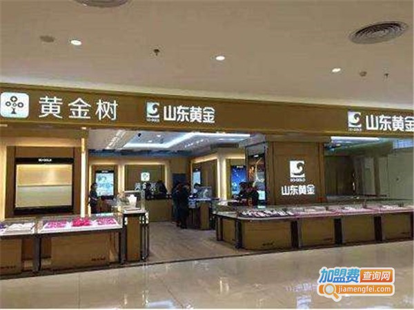 黄金树加盟费
