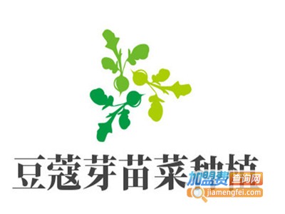 豆蔻知青芽苗菜种植加盟费