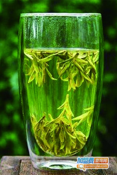安溪朝阳茶业加盟费