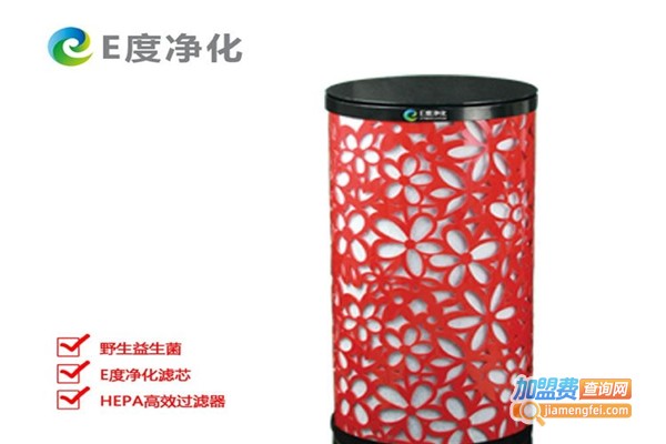 E度净化加盟费