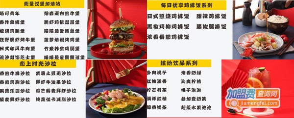 左手猫加盟费