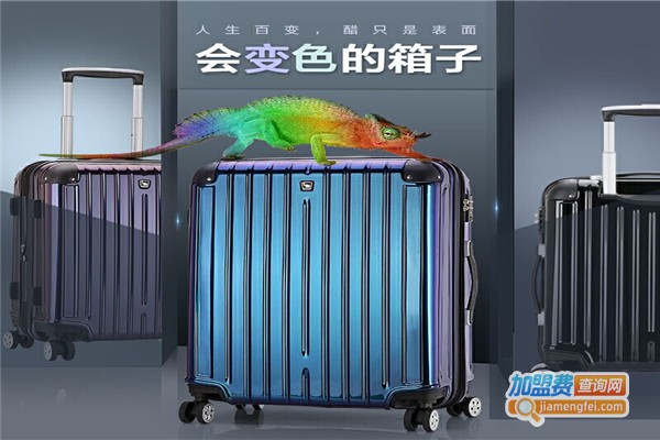 三阳泰加盟费