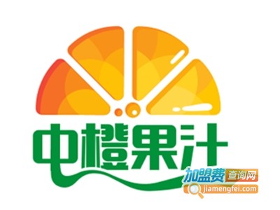 中橙果汁加盟电话