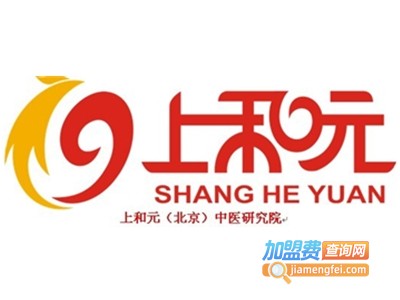 上和元加盟费