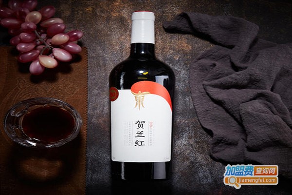 贺兰山葡萄酿酒加盟门店