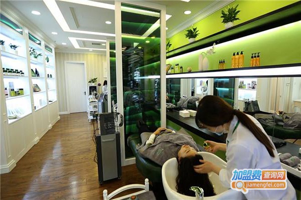 十二草集洗发水加盟费
