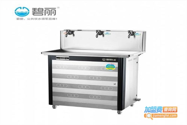 碧丽节能饮水机加盟费