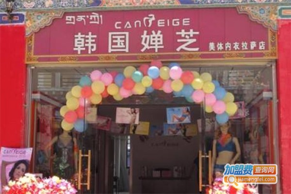 韩国婵芝加盟费