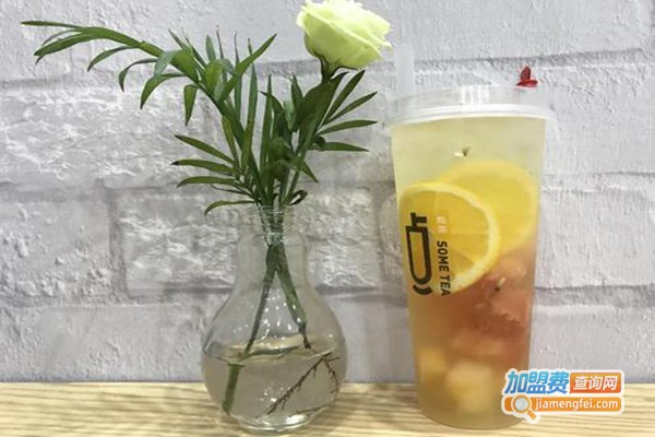 some tea加盟门店