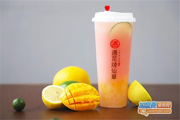 遇苋烧仙草加盟费
