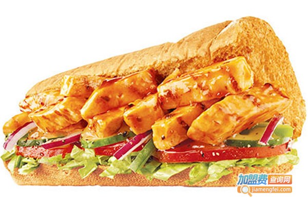 subway赛百味加盟费