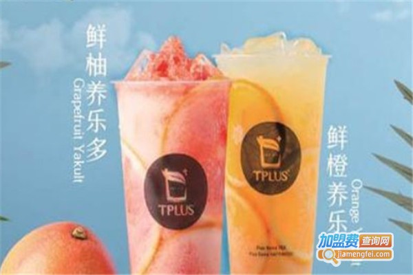 tplus茶家加盟费多少钱