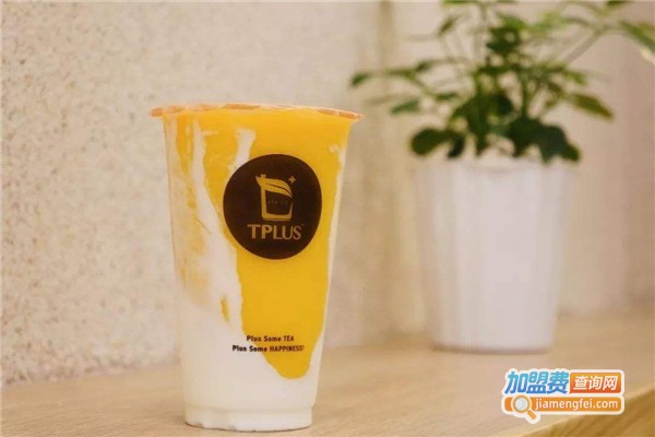 tplus茶家加盟费多少钱