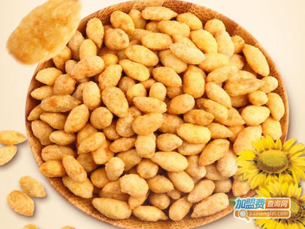 百草味零食店加盟费多少钱