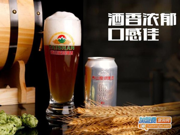 泰山原浆啤酒加盟费多少钱