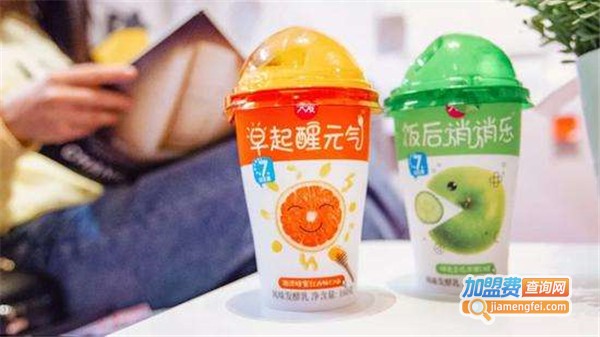 天友乳业加盟费