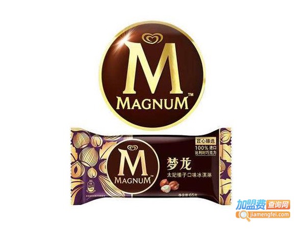 梦龙冰淇淋店加盟费多少钱