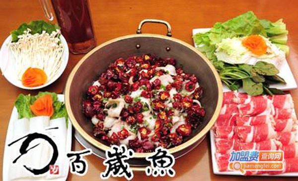 百岁鱼火锅加盟费多少钱