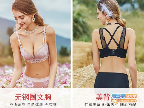 依之妮内衣加盟费多少钱
