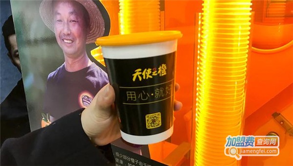 天使之橙加盟费多少钱